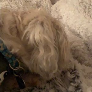 Meet your Posher, Ronda